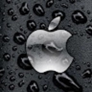 Meet your Posher, Rangel